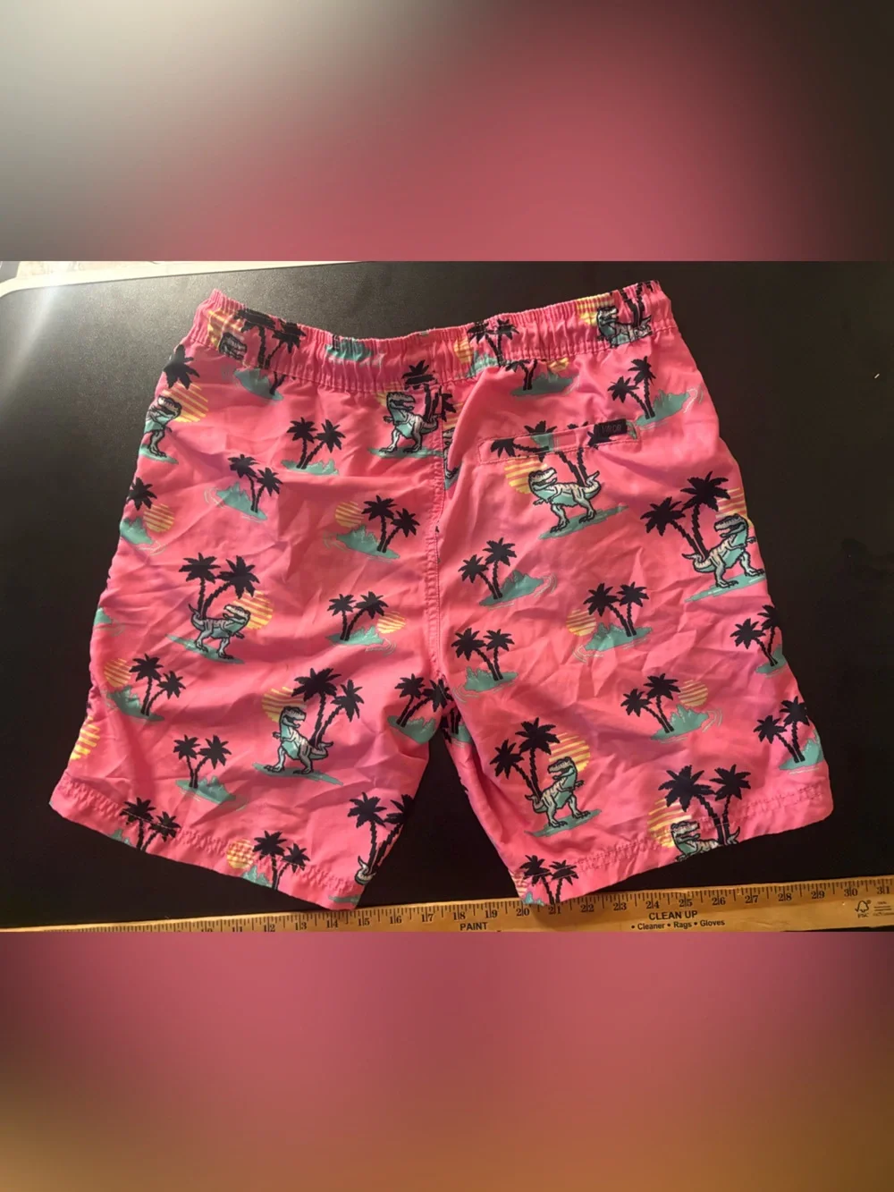 Men's Valor Pink Tropical Dino Swim Trunks 🌵M
